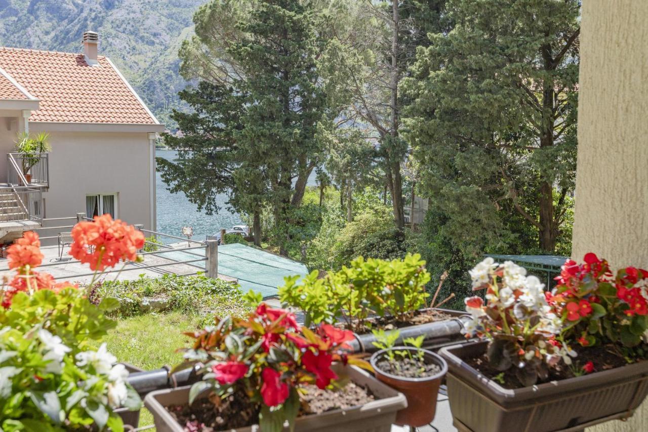 Muo Sea Front Apartment Kotor